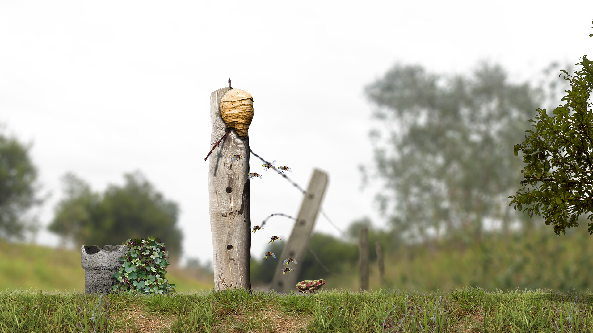A toad well travelled screenshot 4