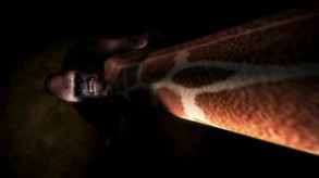 Wildlife Park 2 - Intro trailer thumbnail