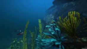 SS Yongala Shipwreck Showcase trailer thumbnail