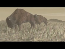 Wildlife Park Intro trailer thumbnail