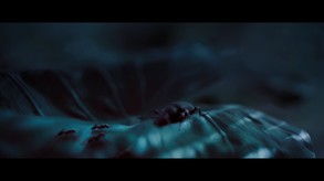 Ready or Not Trailer trailer thumbnail