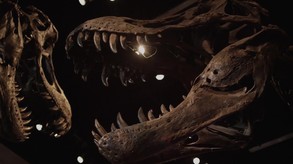 Jurassic Island: The Dinosaur Zoo trailer thumbnail