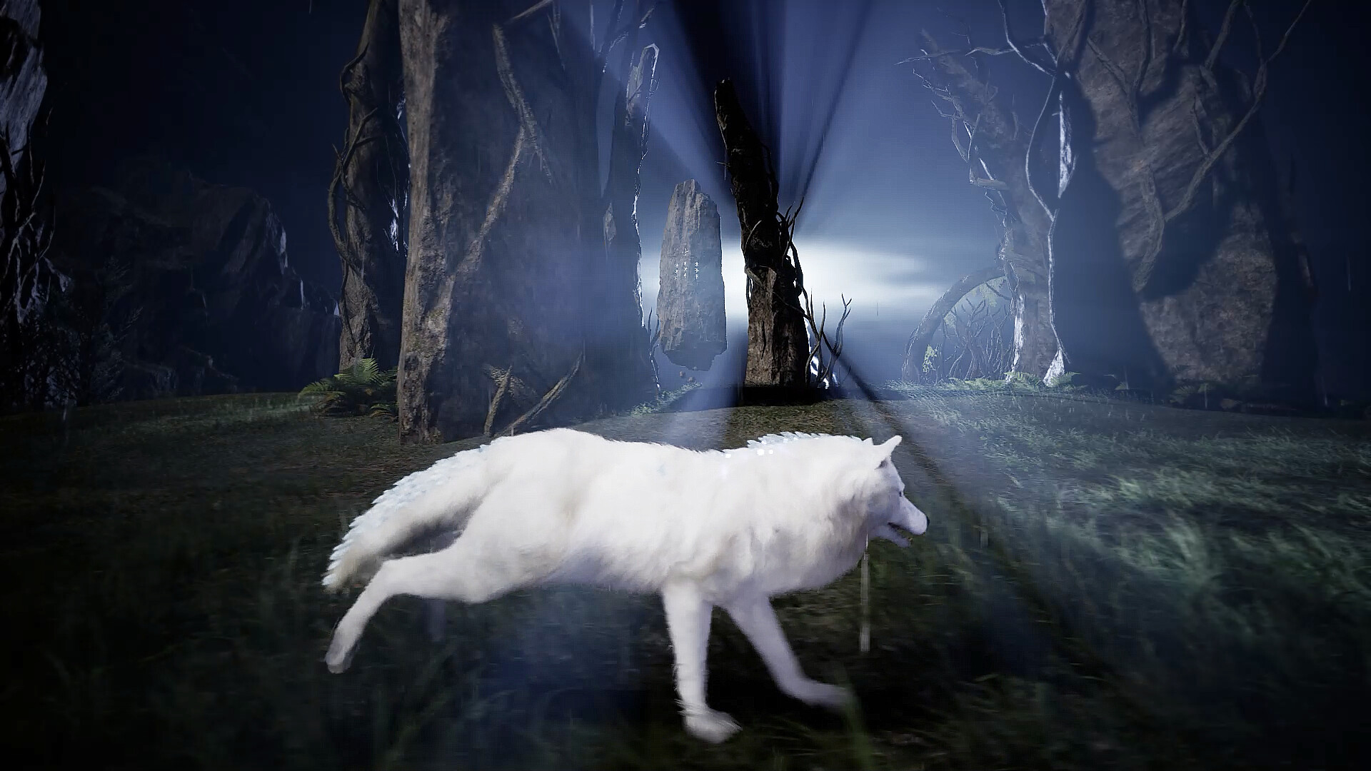 Light of Veilendor screenshot 9