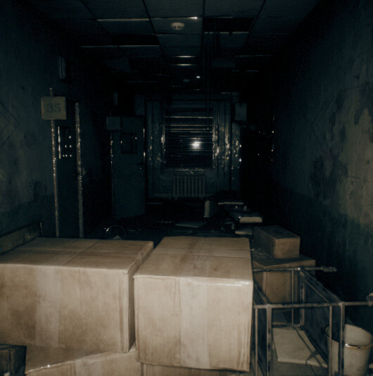 THE HUNTED: SHADOWS OF DESPAIR screenshot 3