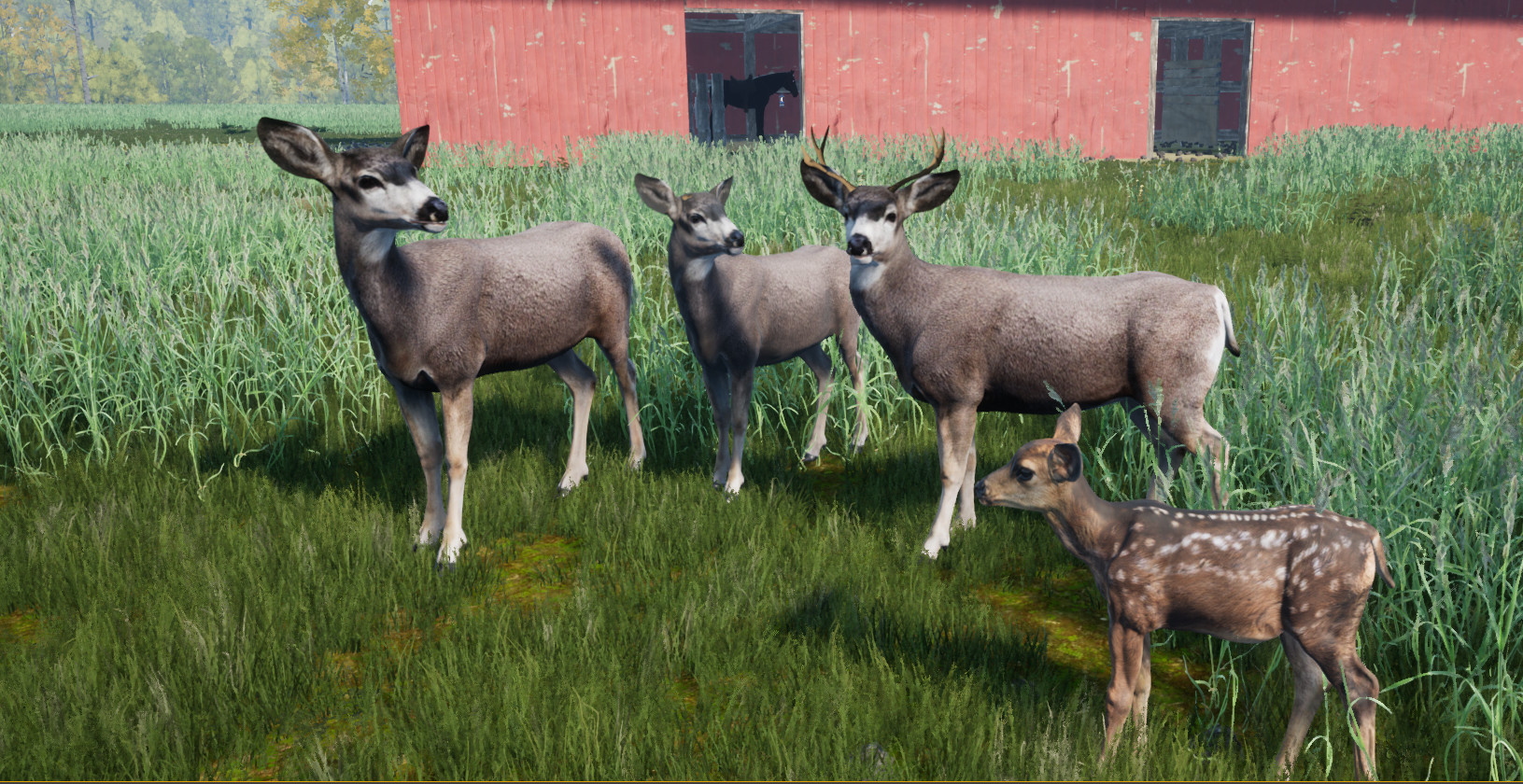 Wilderness Survival: The Conservationist screenshot 1