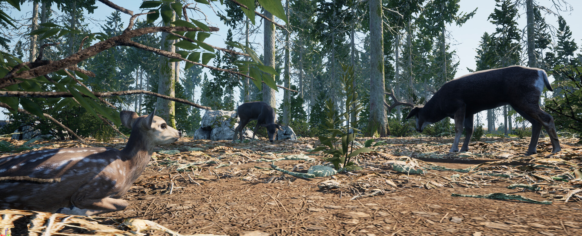 Wilderness Survival: The Conservationist screenshot 16