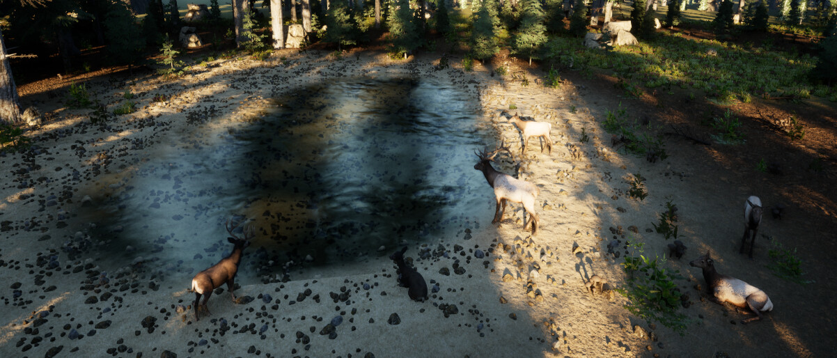 Wilderness Survival: The Conservationist screenshot 11