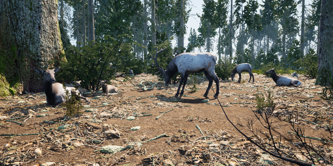 Wilderness Survival: The Conservationist screenshot 13