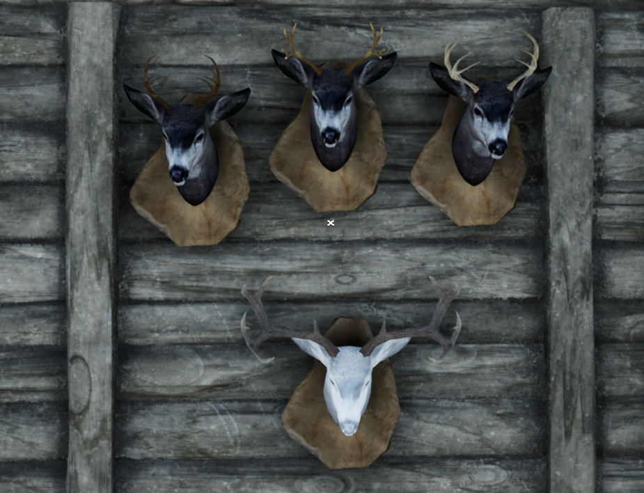 Wilderness Survival: The Conservationist screenshot 2