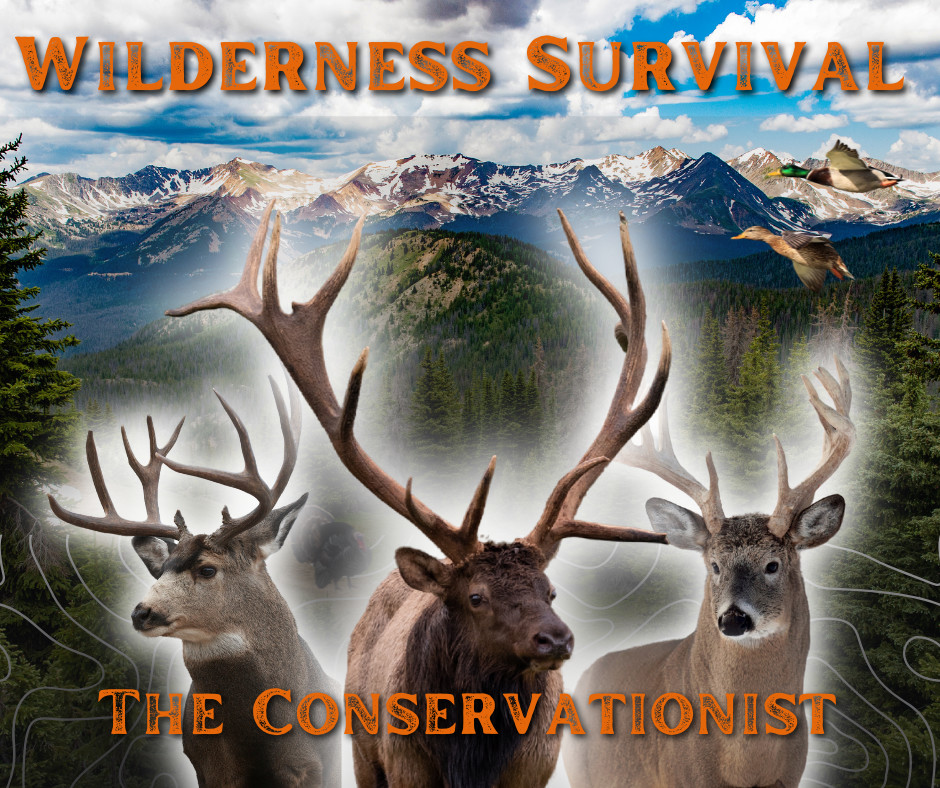 Wilderness Survival: The Conservationist screenshot 3