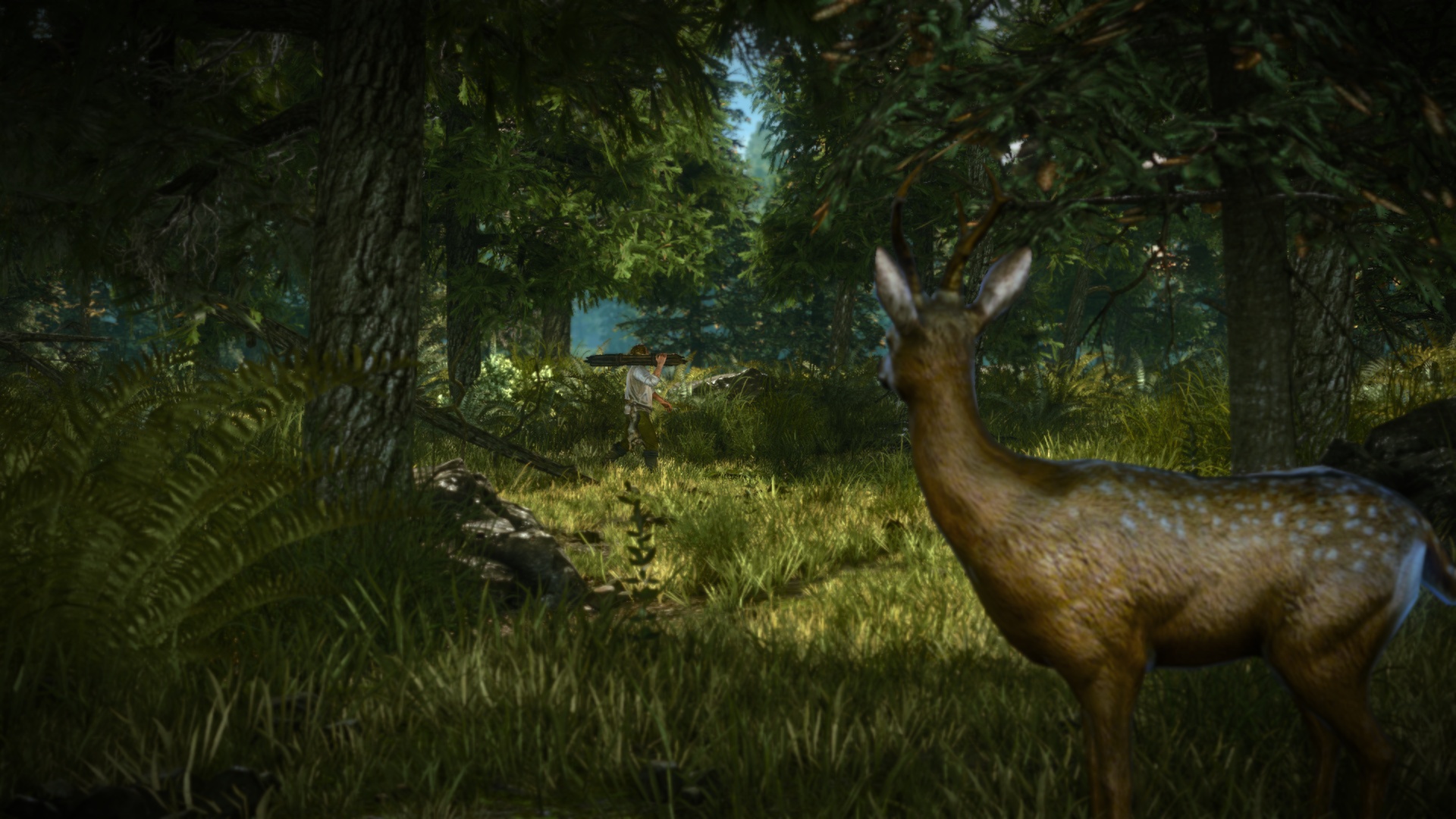 The Witcher 2: Assassins of Kings Enhanced Edition screenshot 2