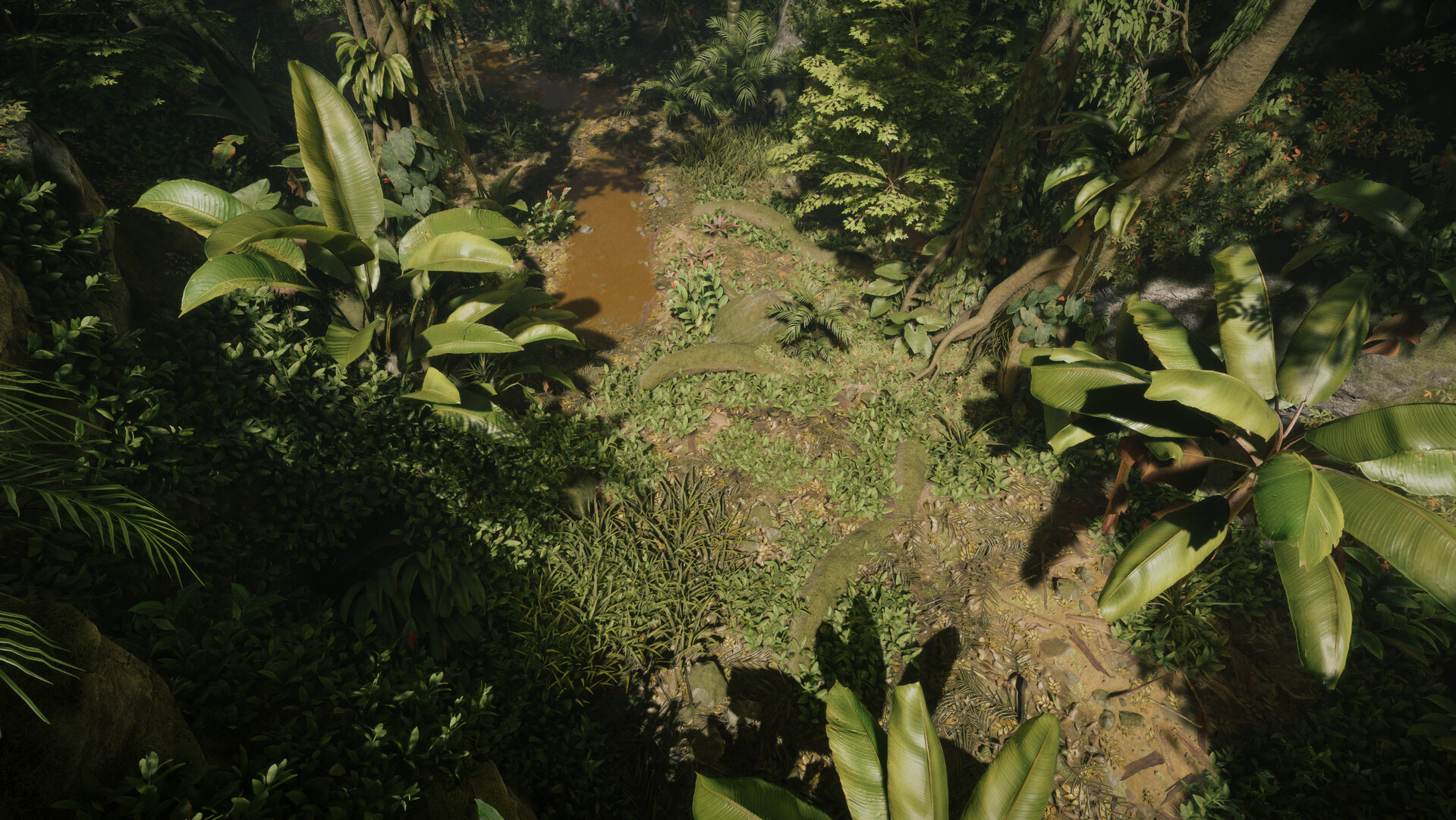Tropica: Survival 1095 screenshot 7