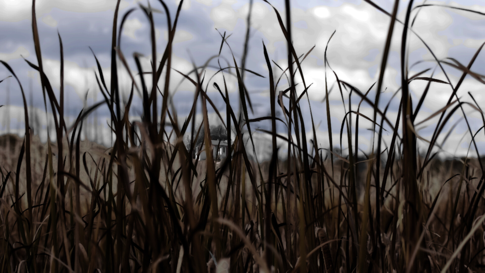 77 Oleander Avenue screenshot 7
