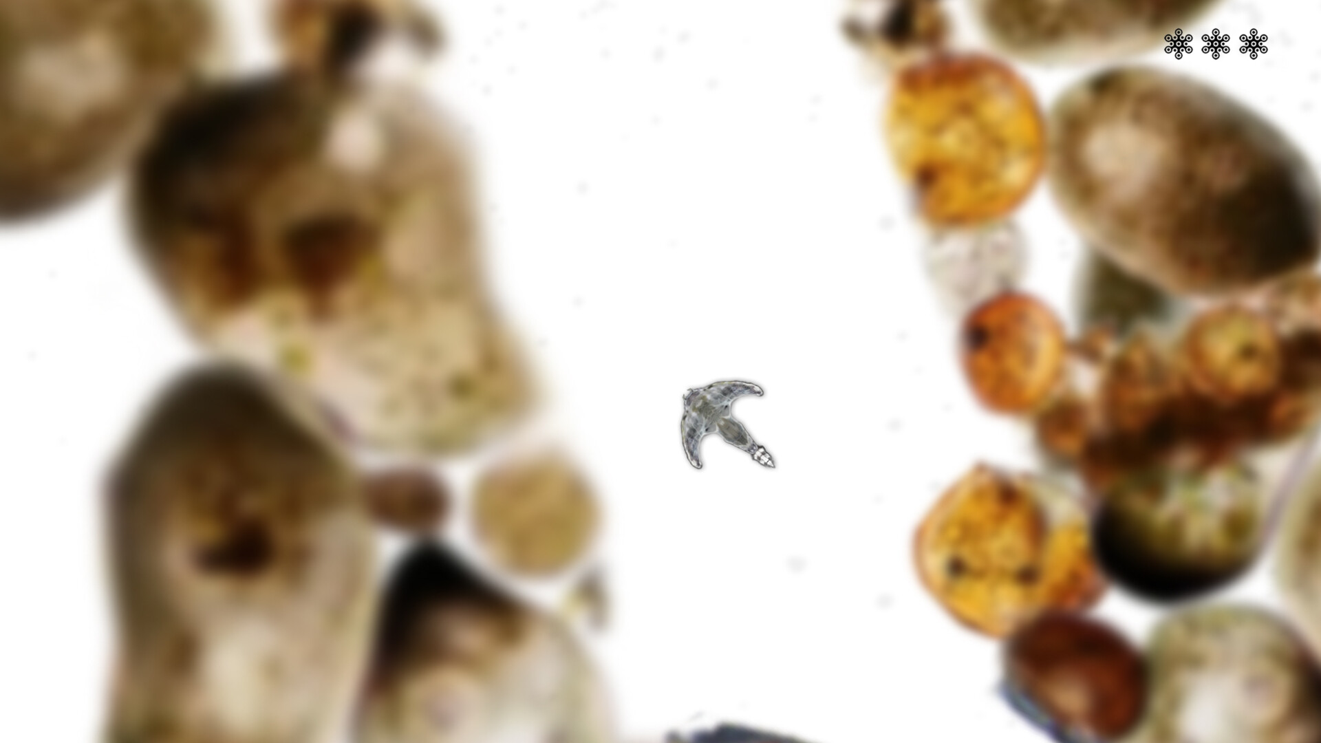 MICROSCOPIC screenshot 6
