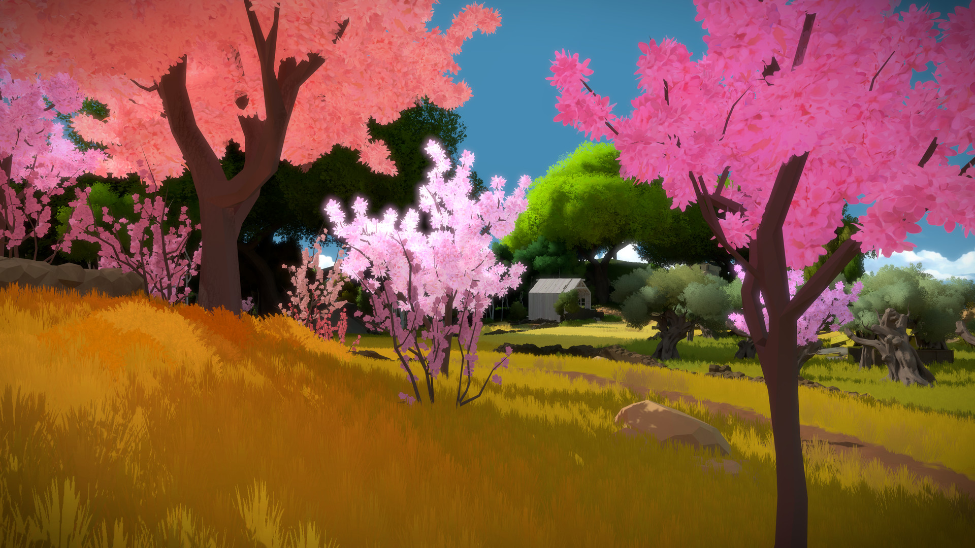 The Witness screenshot 4