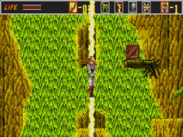 The Revenge of Shinobi screenshot 5