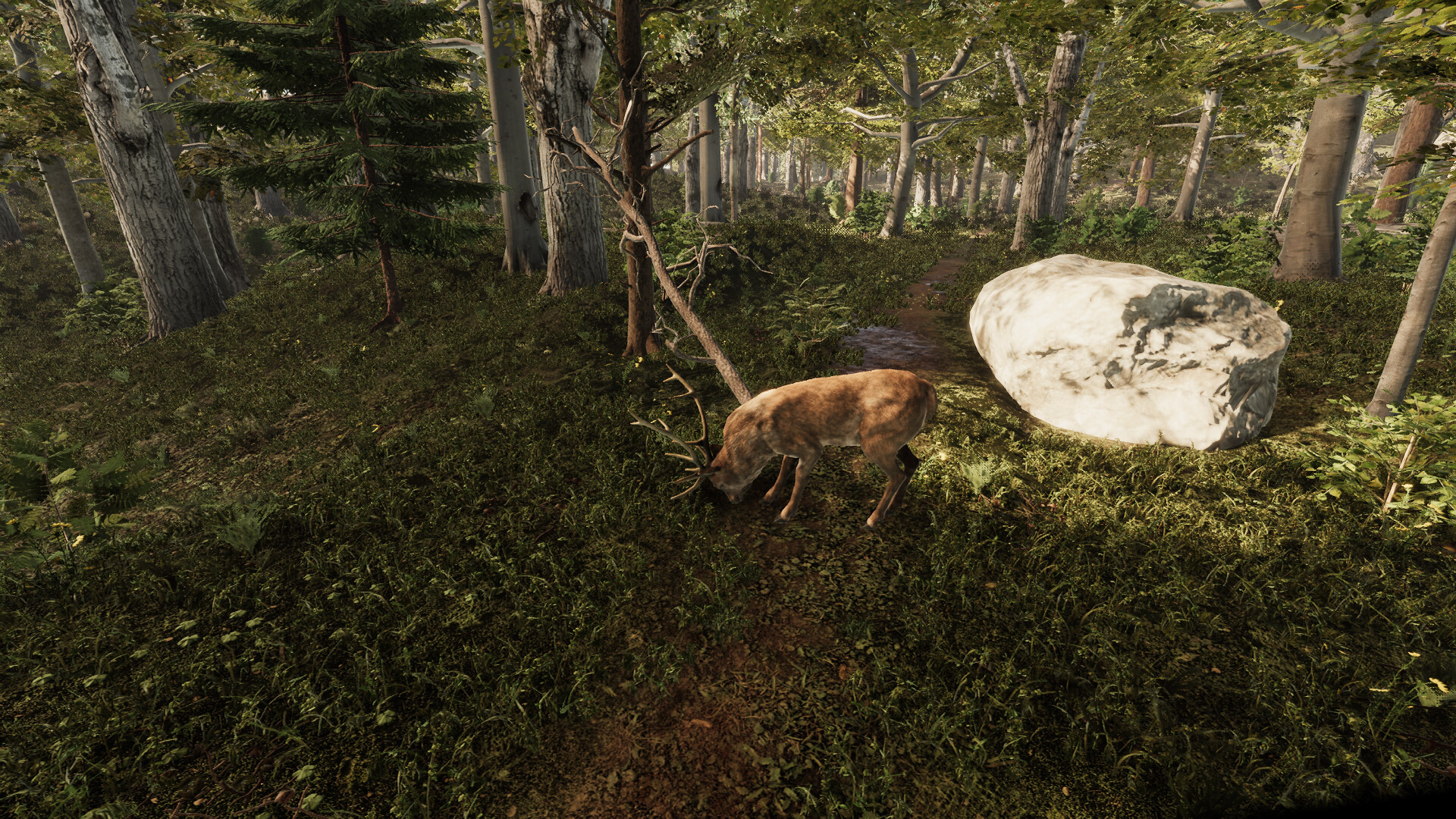 Natives screenshot 5