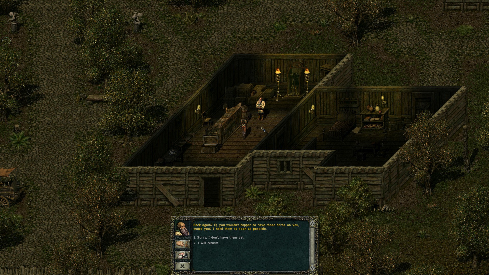 Divine Divinity screenshot 4