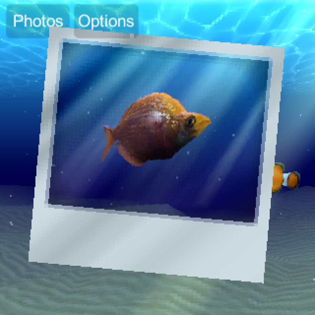 Photo-Toy Oceans screenshot 7