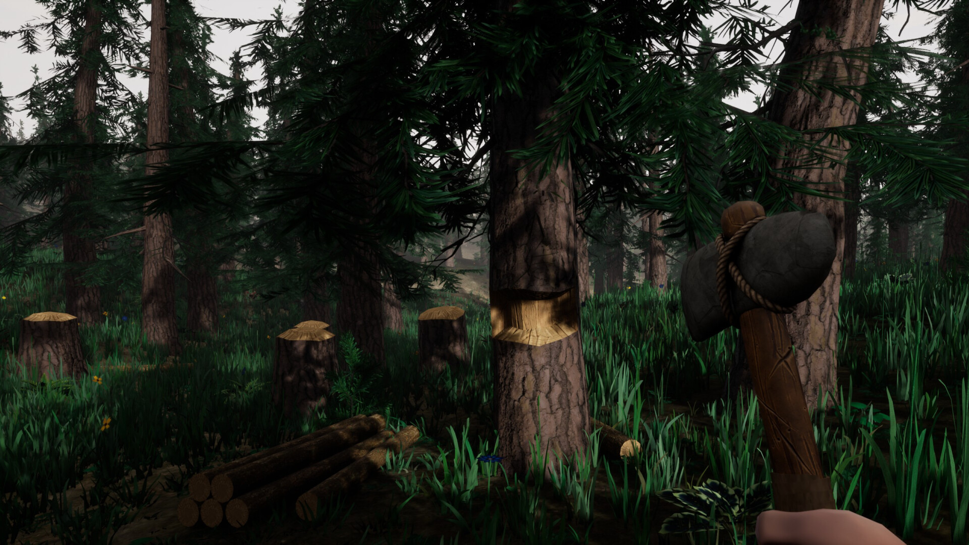 The Woods screenshot 1