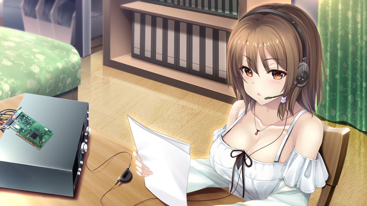 The Future Radio and the Artificial Pigeons screenshot 5