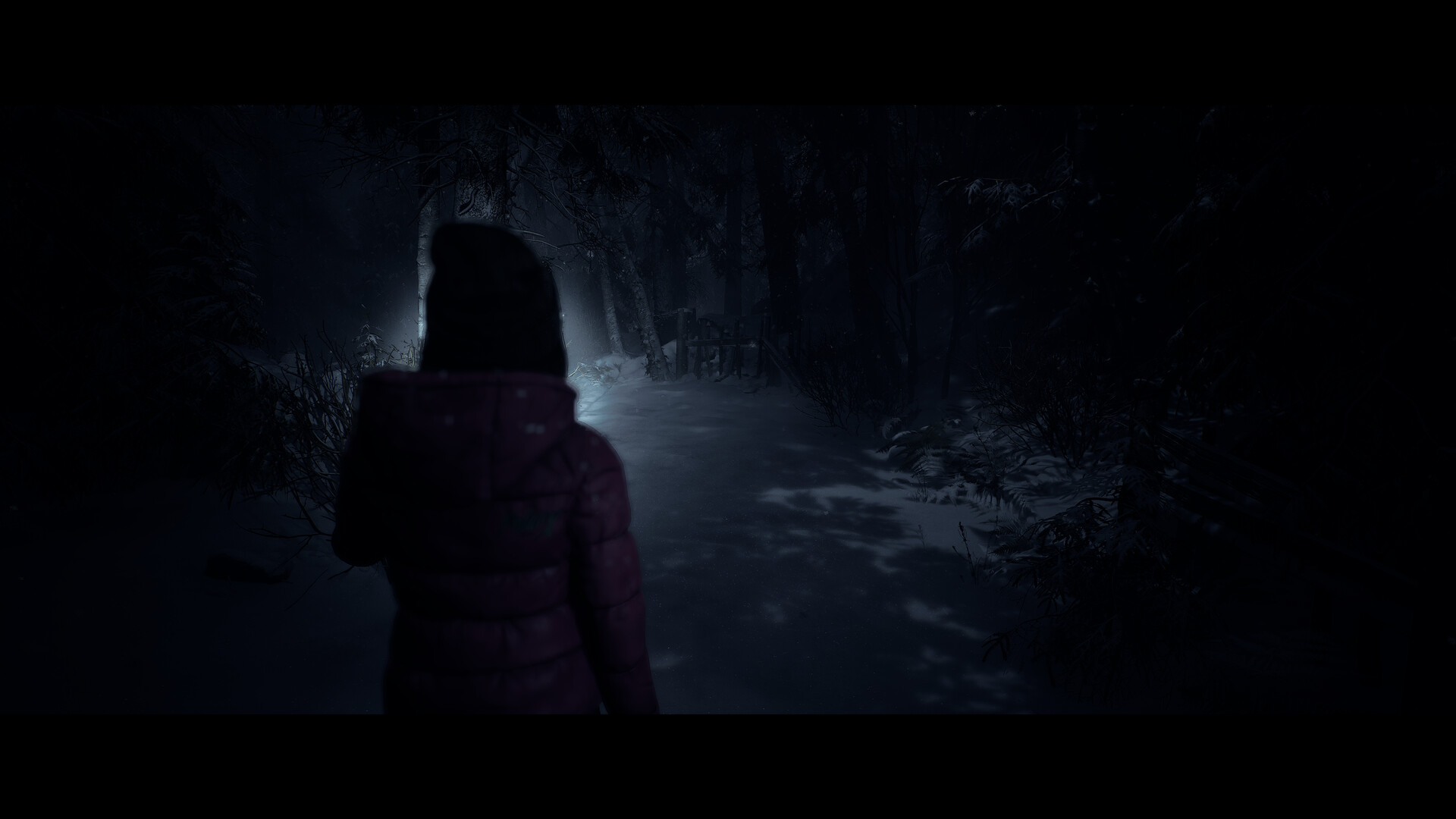Until Dawn™ screenshot 11