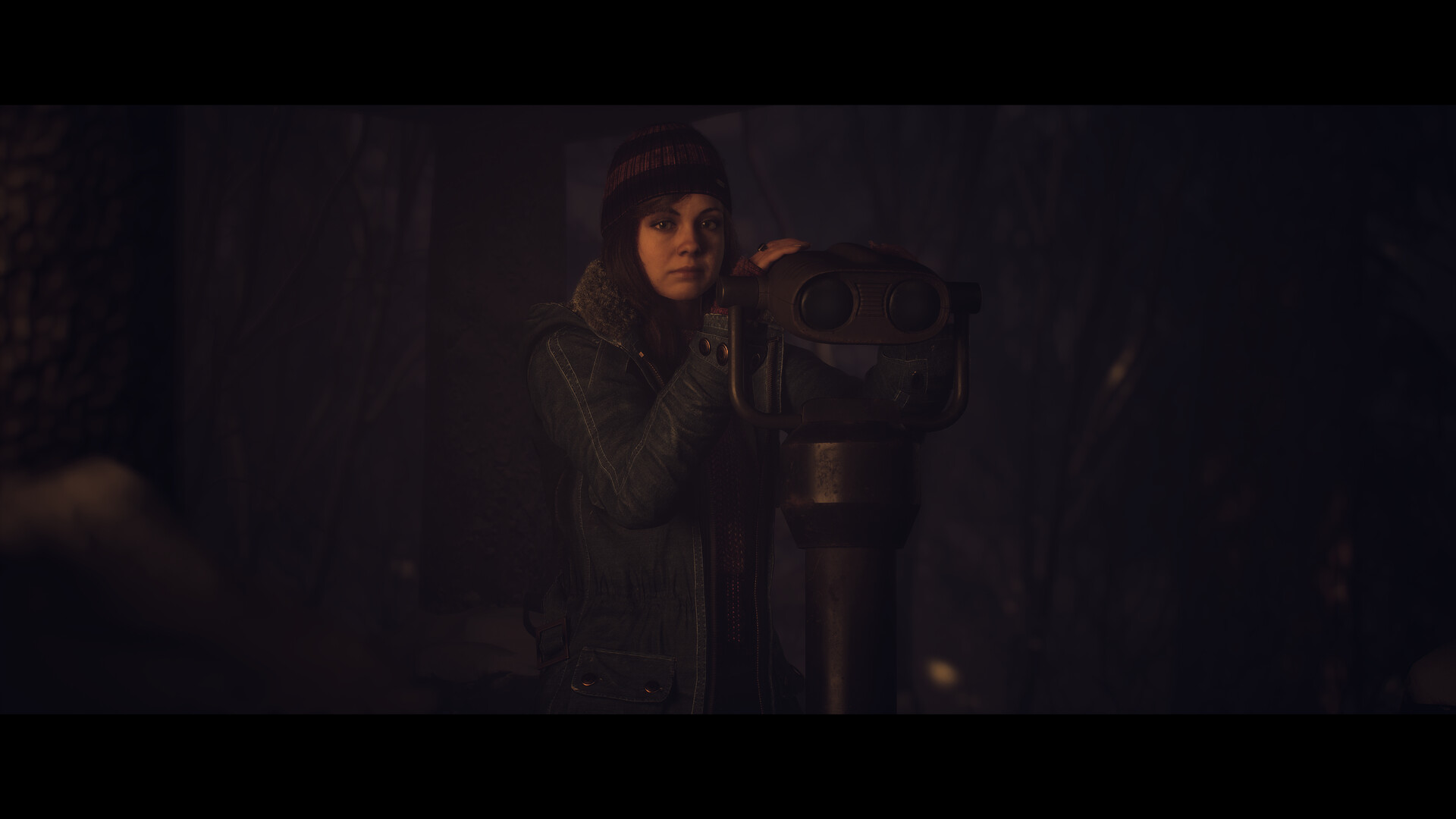 Until Dawn™ screenshot 17
