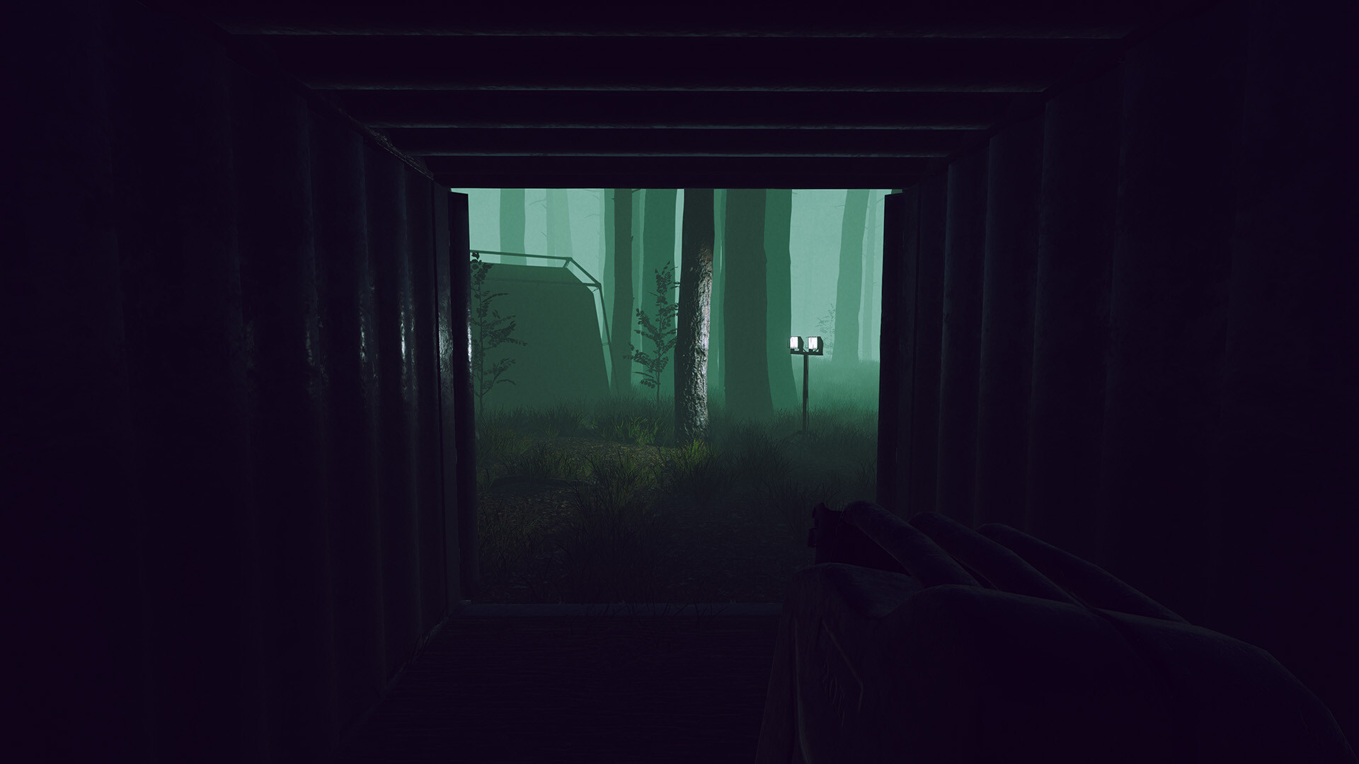 Odd Woods screenshot 14