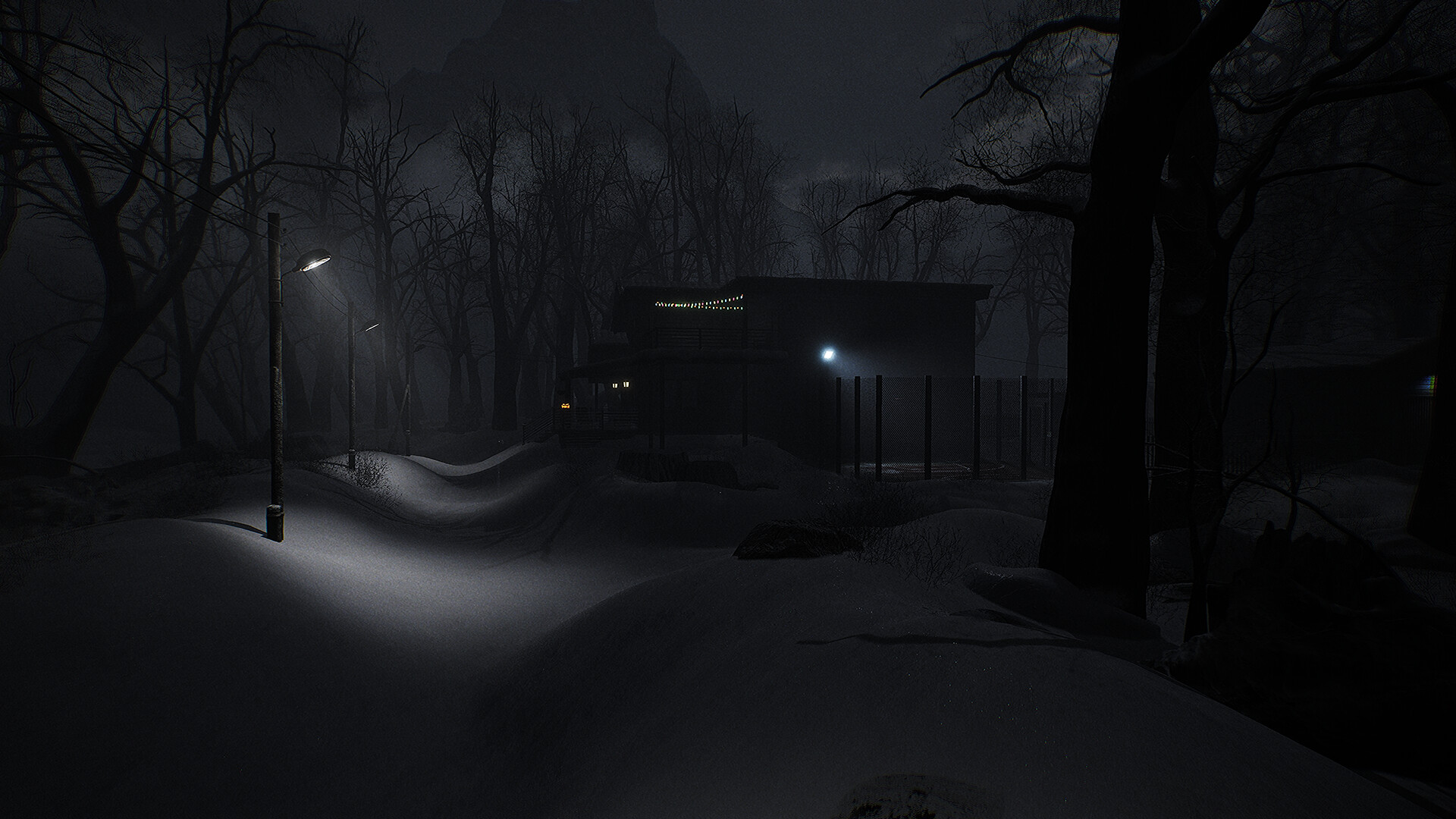 Leak screenshot 3