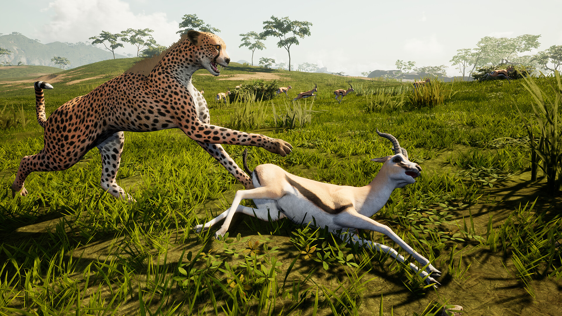 Way Of Animals screenshot 4