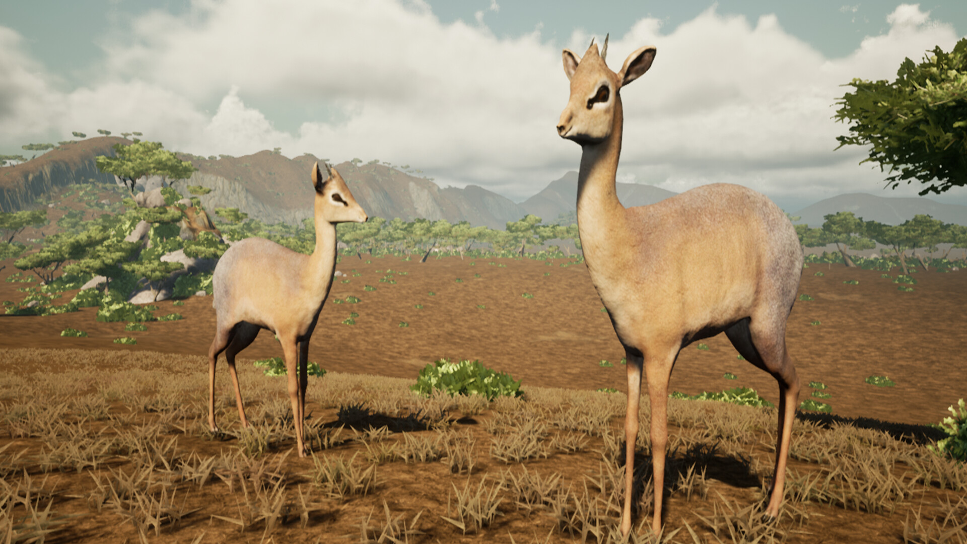 Way Of Animals screenshot 1