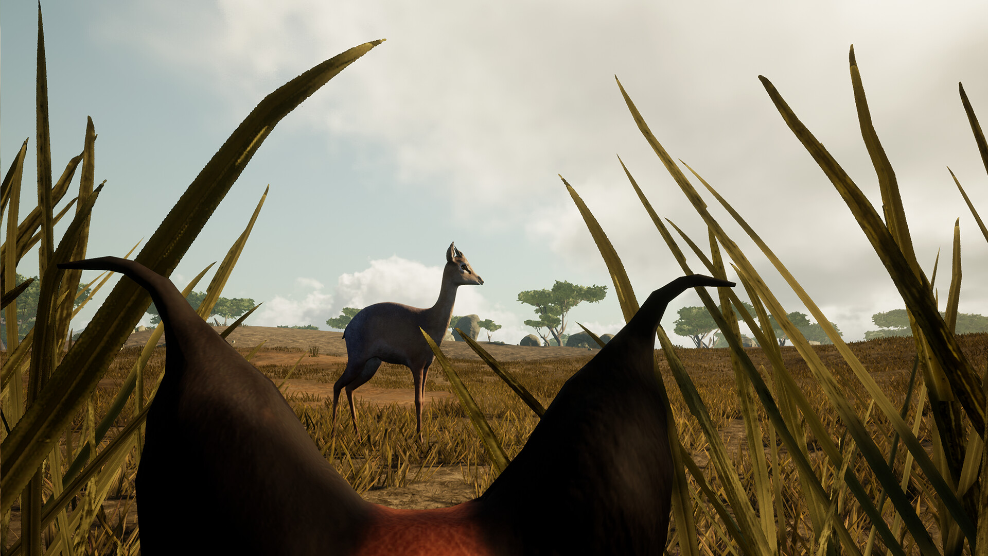 Way Of Animals screenshot 3