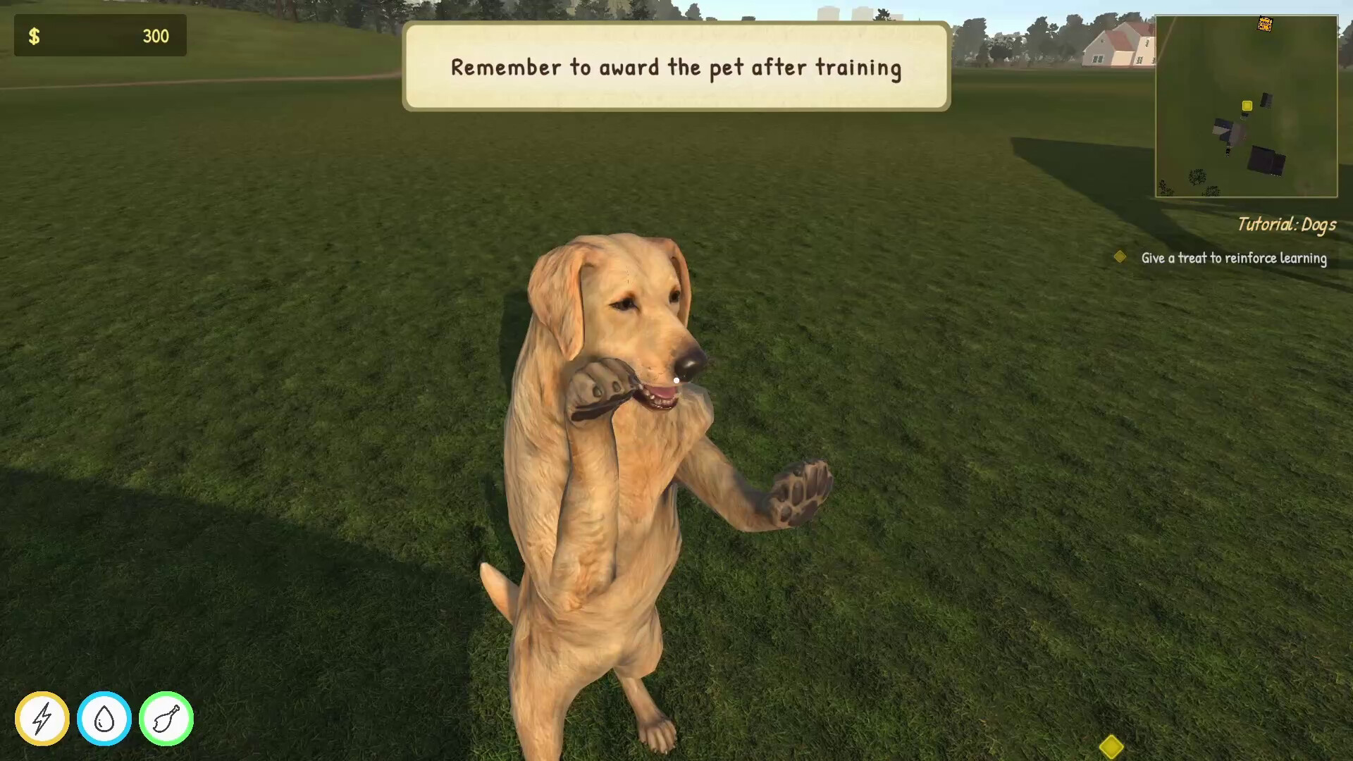 Animal Trainer Simulator: Prologue screenshot 6