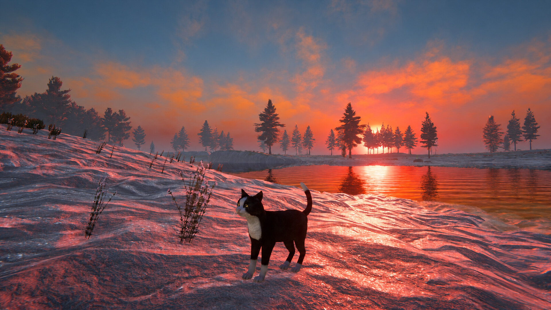 Cat Life screenshot 12
