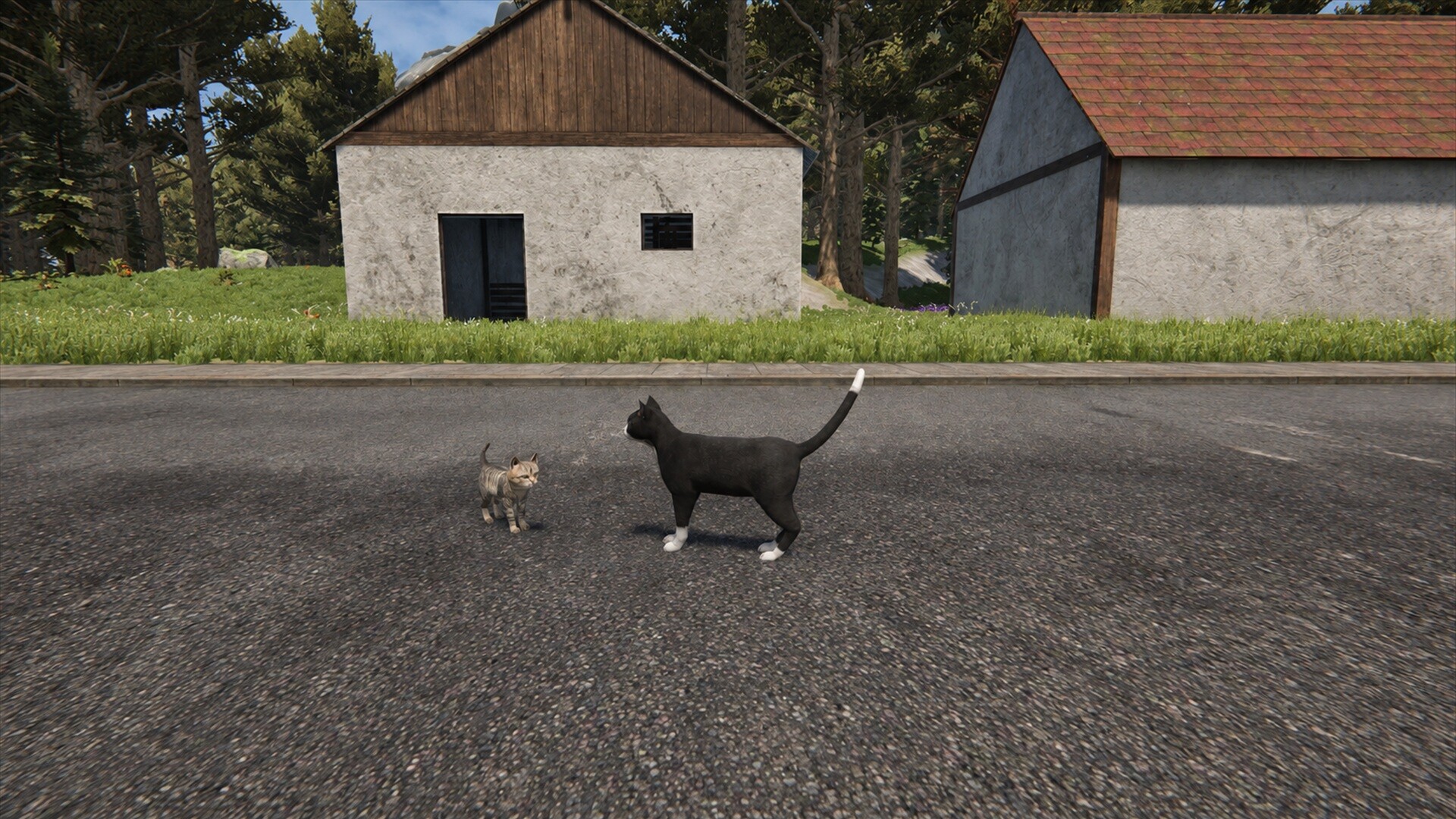 Cat Life screenshot 8