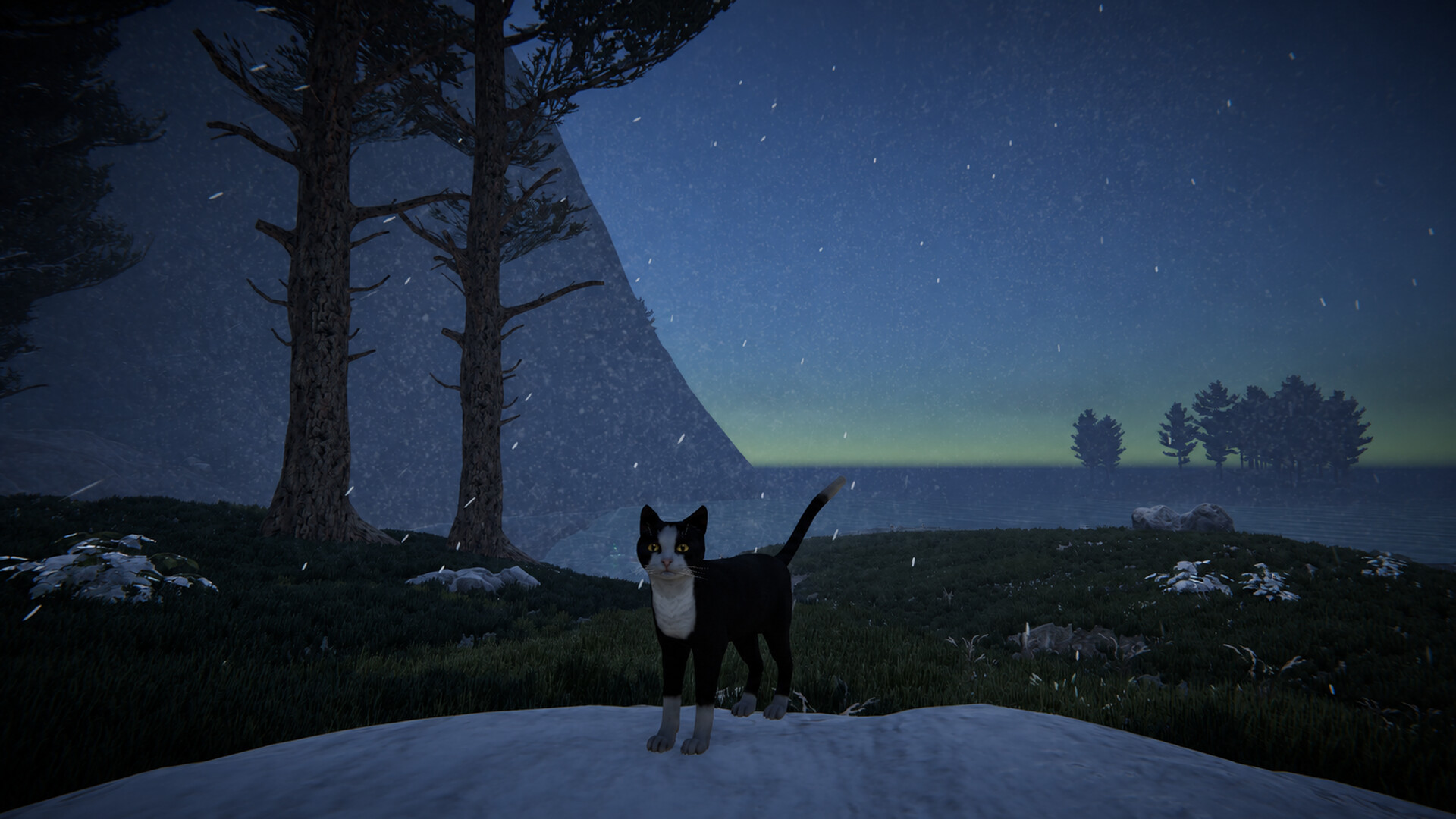 Cat Life screenshot 13