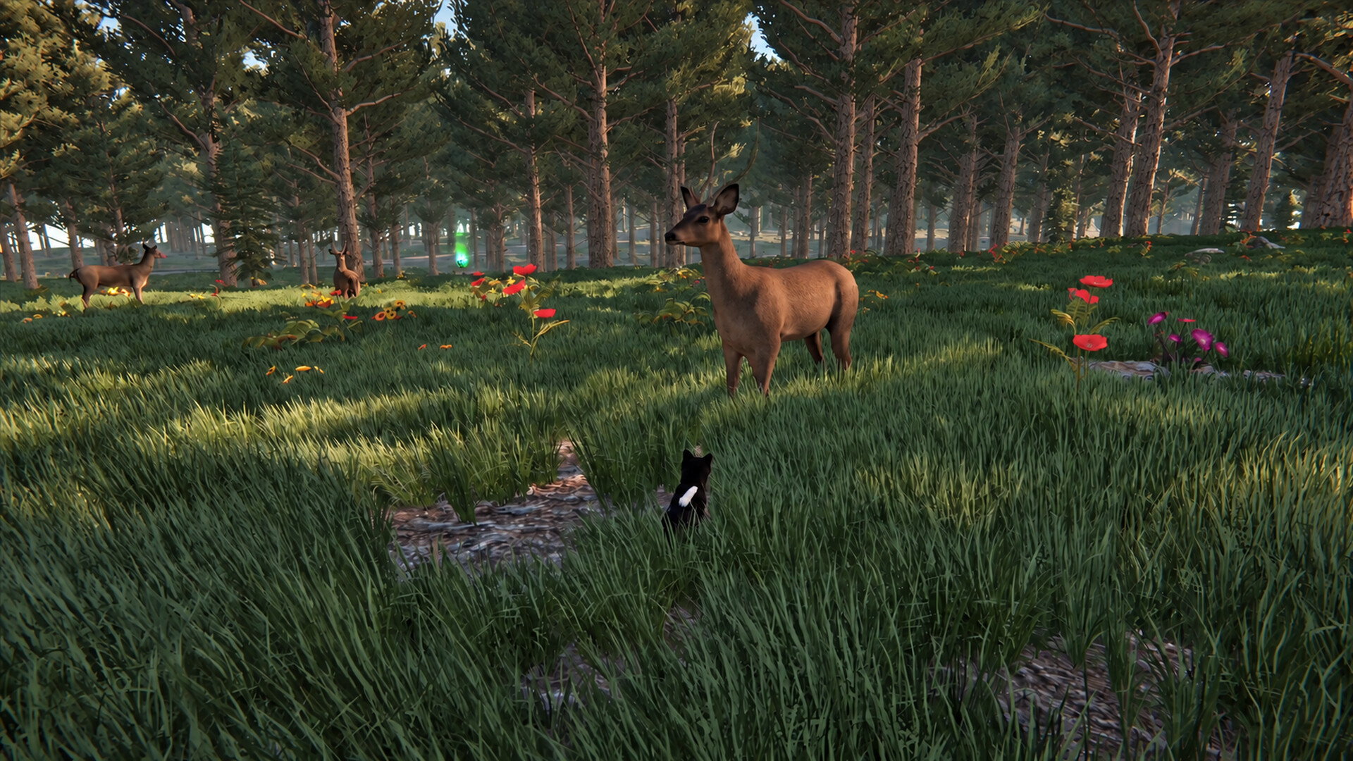 Cat Life screenshot 14