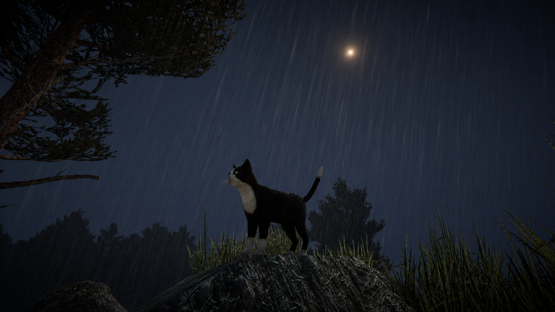 Cat Life screenshot 10