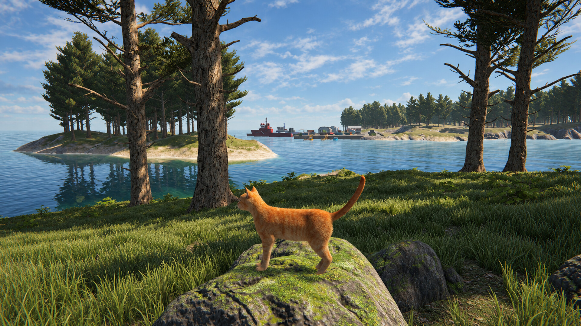 Cat Life screenshot 2