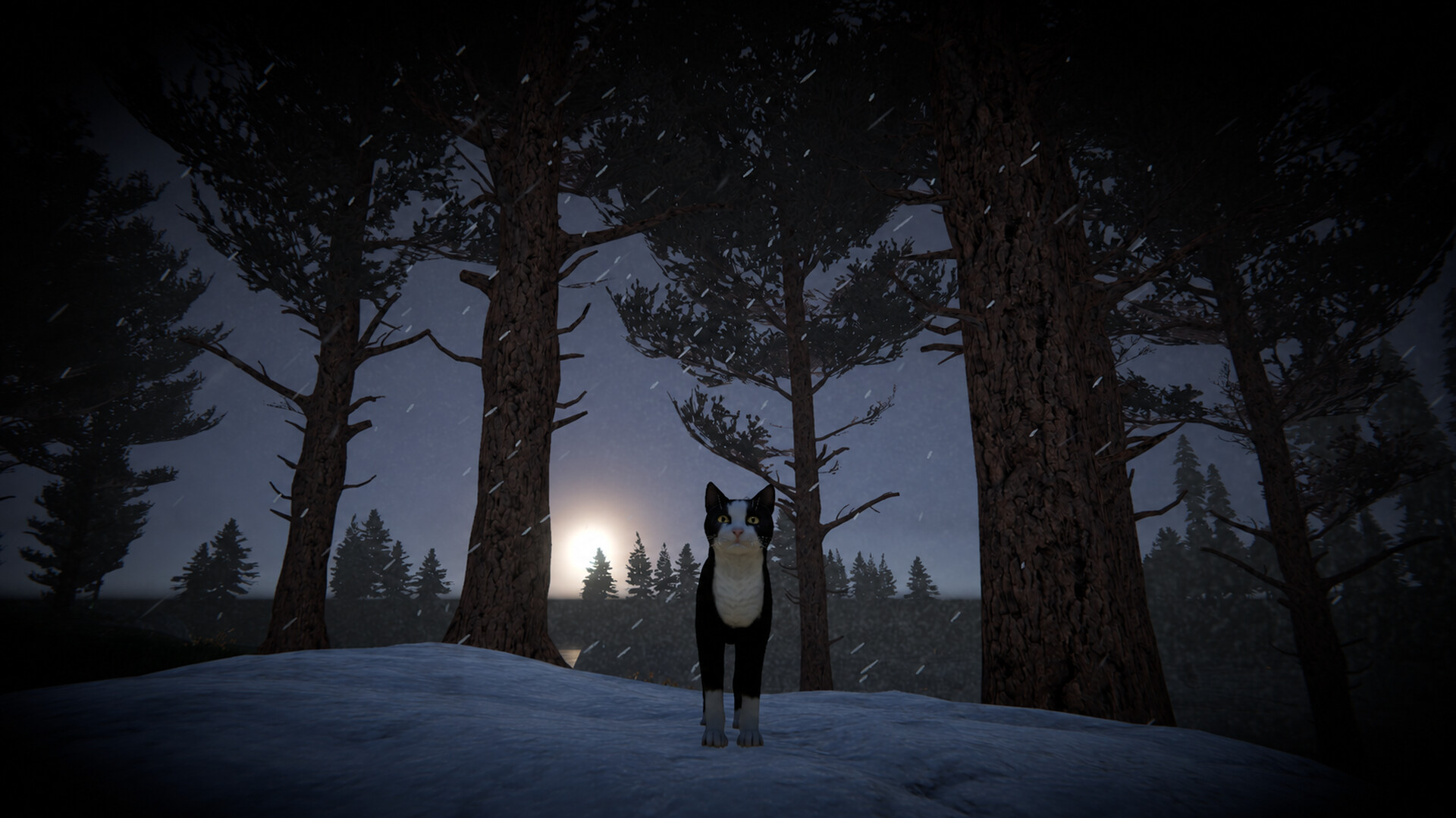 Cat Life screenshot 19
