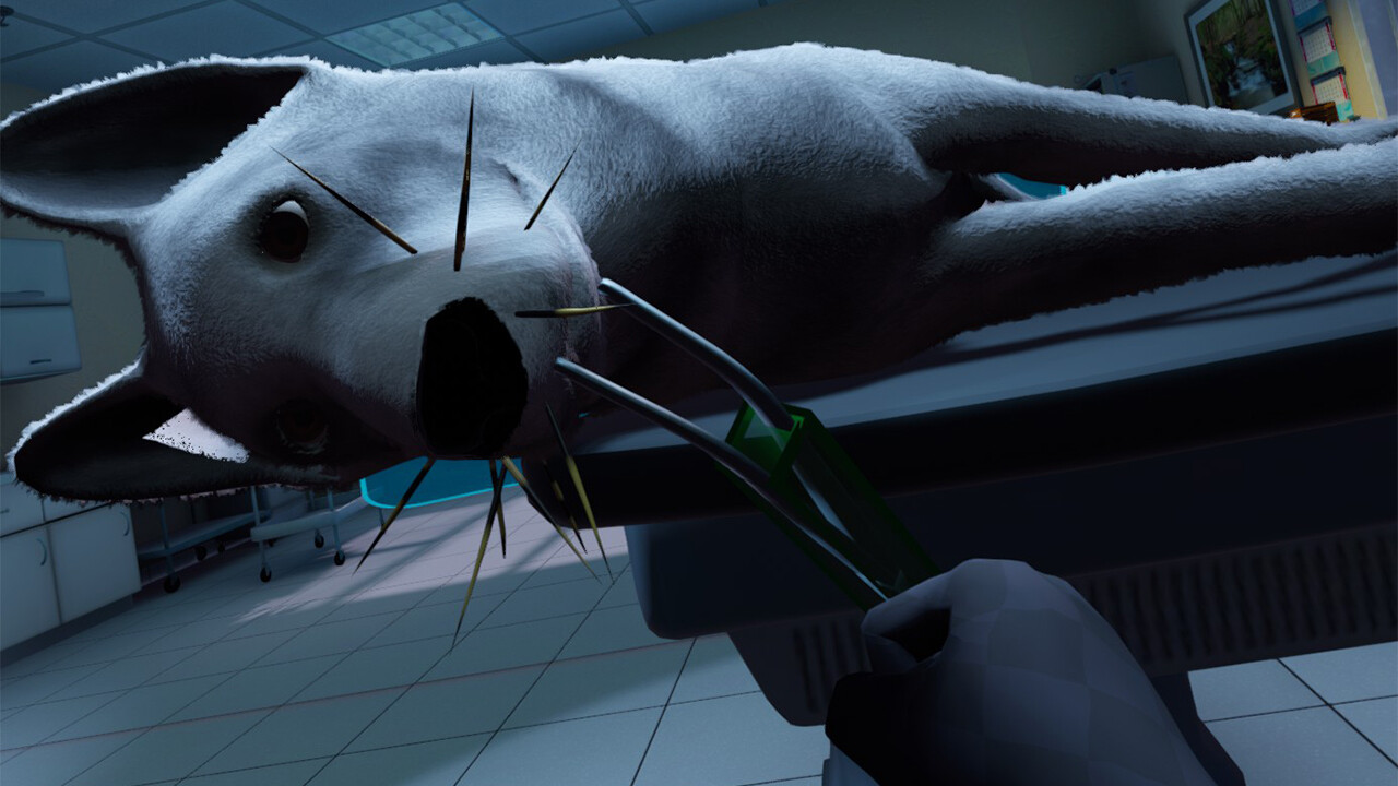 VetVR Veterinary Simulator screenshot 5