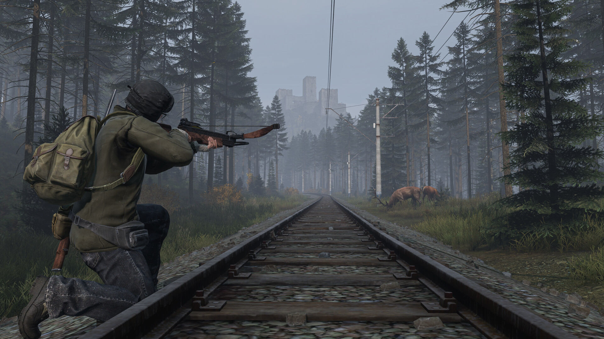 DayZ screenshot 17