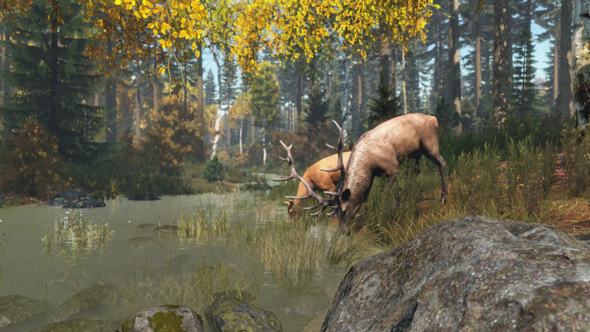 DayZ screenshot 6