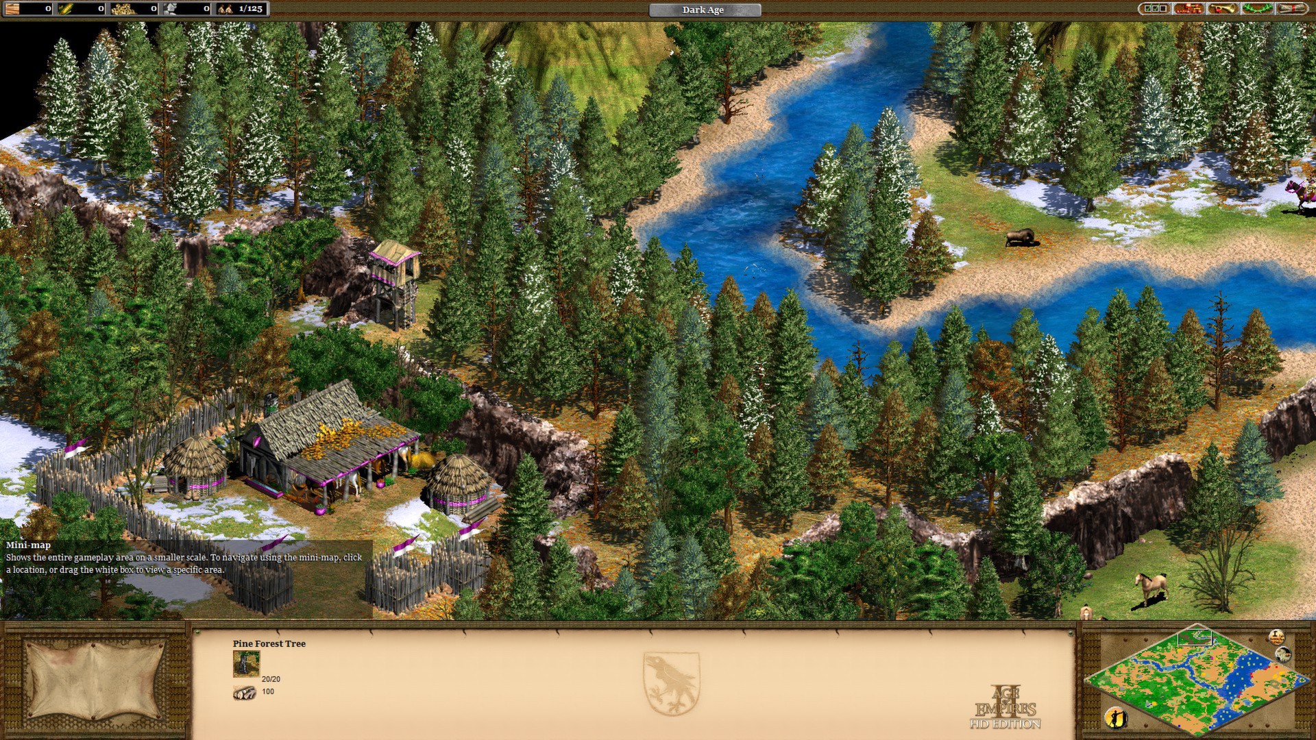 Age of Empires II (Retired) screenshot 2