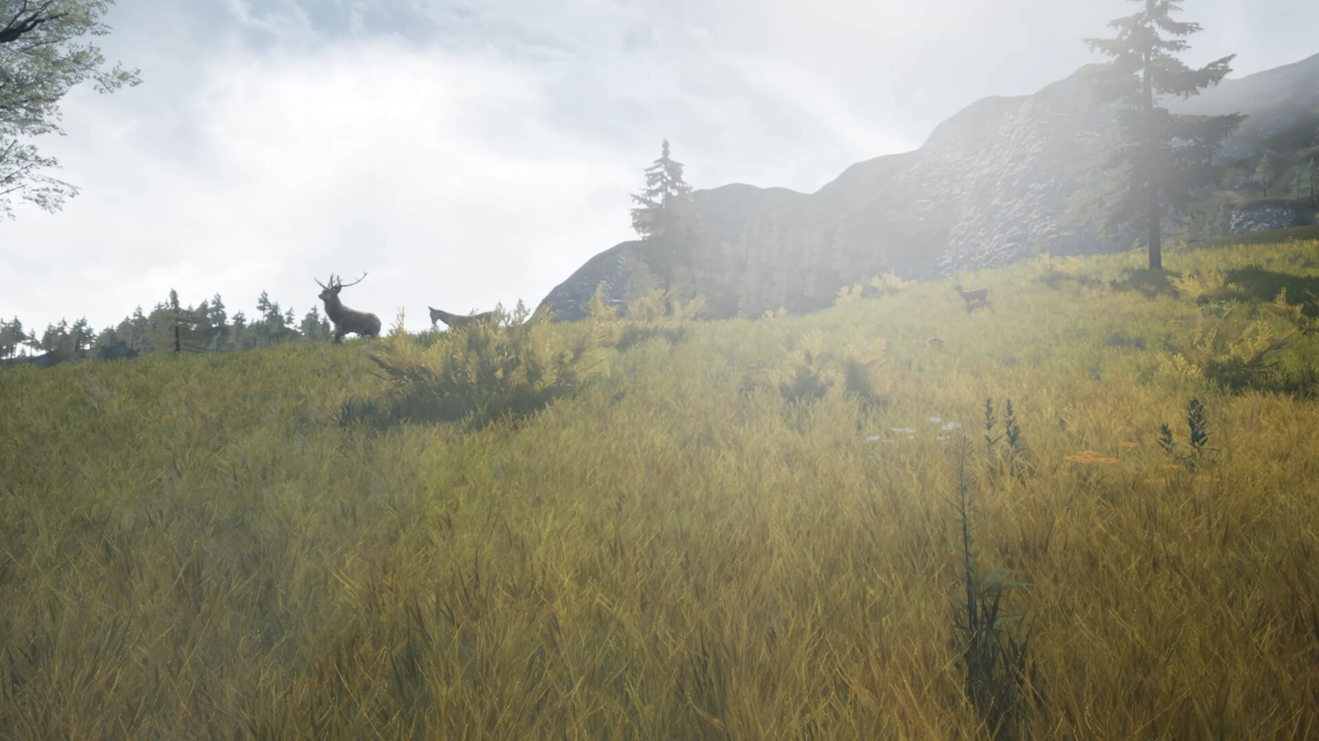 DragonHill VR screenshot 3