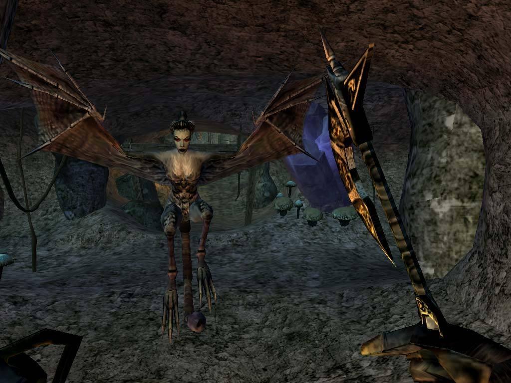 The Elder Scrolls III: Morrowind® Game of the Year Edition screenshot 6