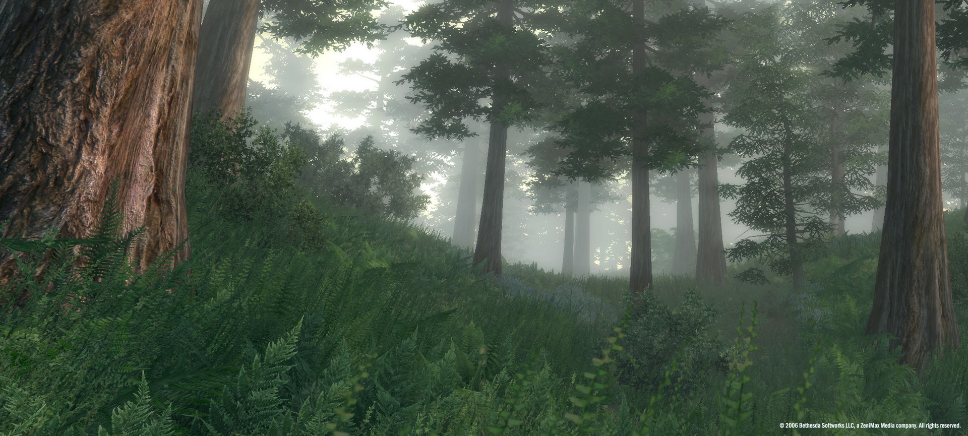 The Elder Scrolls IV: Oblivion® Game of the Year Edition (2009) screenshot 1