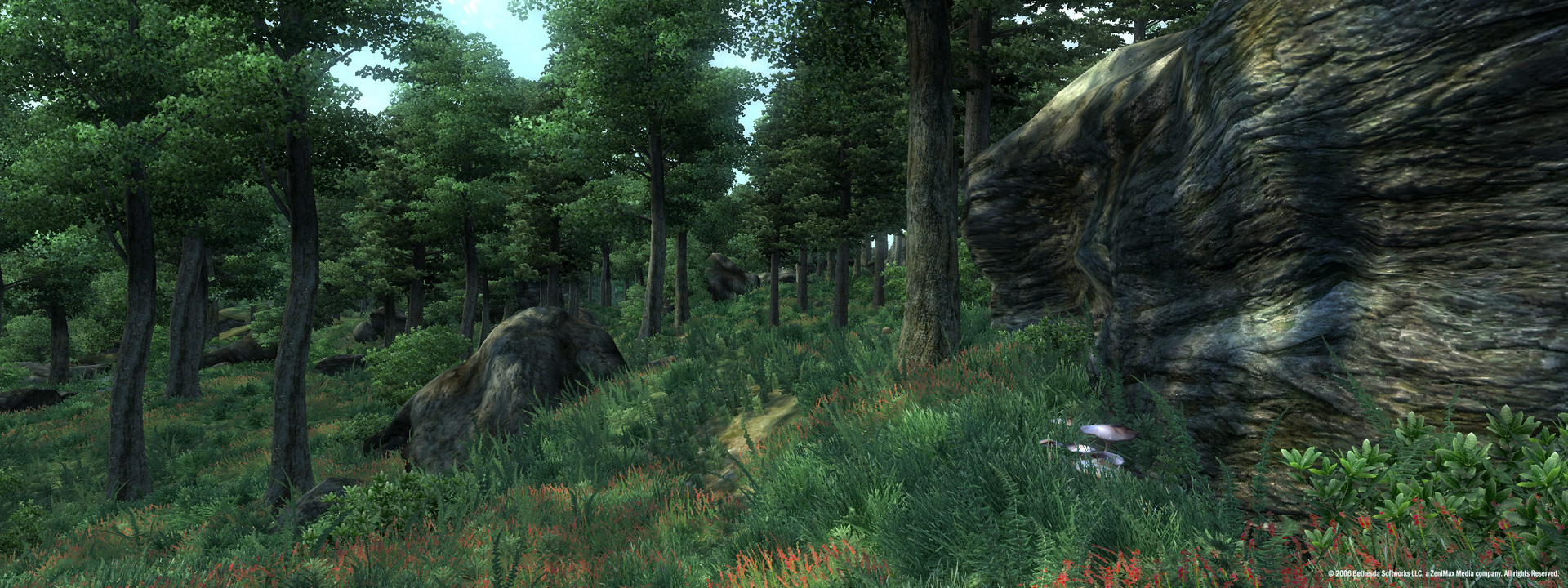 The Elder Scrolls IV: Oblivion® Game of the Year Edition (2009) screenshot 2