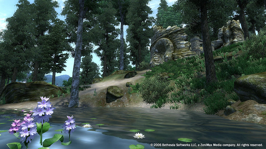 The Elder Scrolls IV: Oblivion® Game of the Year Edition (2009) screenshot 3