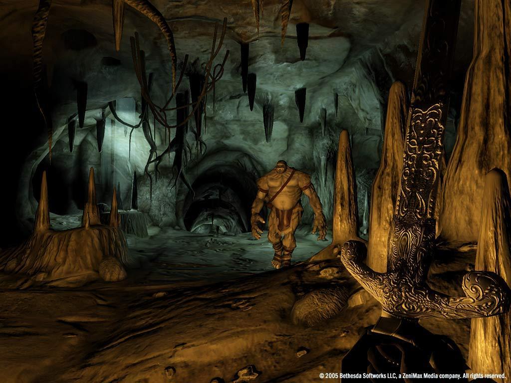 The Elder Scrolls IV: Oblivion® Game of the Year Edition (2009) screenshot 16